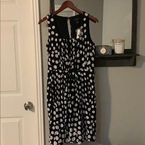 White House Black Market polka dot dress
